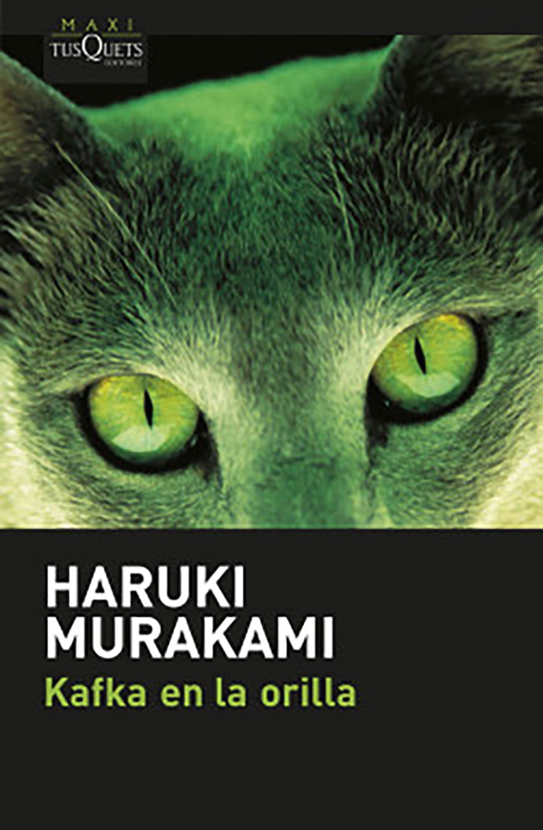 Kafka en la orilla. Haruki Murakami